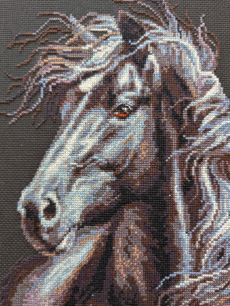 RIOLIS - Breeze Through Mane 1494, Counted Cross Stitch Kit 11,81" x17,72, Black Horse Embroidery Kit, Cross Stitch Patterns for Adults with Horse, Cross Stitch Kits for Adults Advanced & Beginners - Image 4